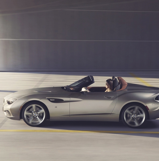 Vestibulum commodo_1